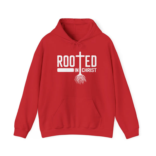 Rooted in Christ Christian Hoodie | Motivational Treats