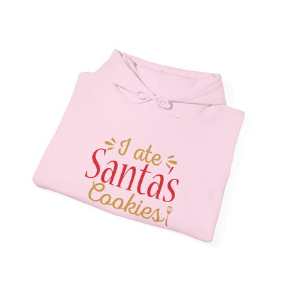 Christmas Unisex Hooded Sweatshirt - I Ate Santa's Cookies Design