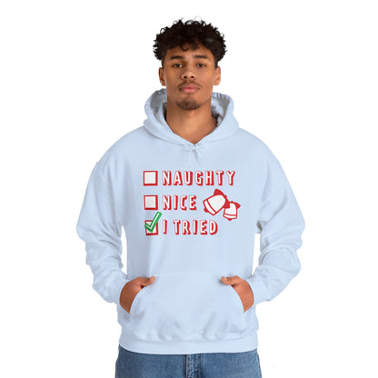 Christmas Unisex Hooded Sweatshirt - Naughty Nice I Tried Design