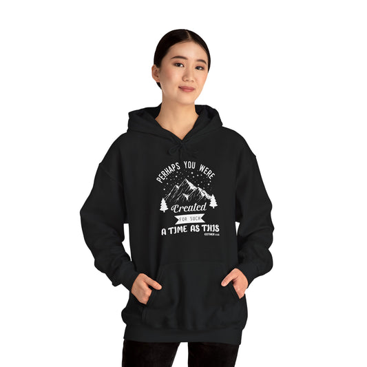 Christian Unisex Hooded Sweatshirt - Perhaps You Were Created Design