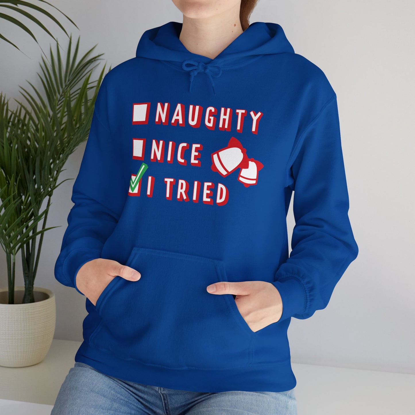 Christmas Unisex Hooded Sweatshirt - Naughty Nice I Tried Design