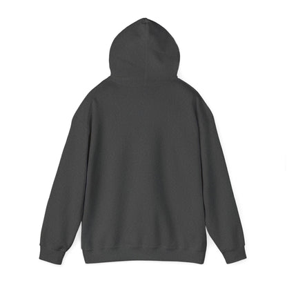 Motivational Unisex Hooded Sweatshirt - Think Big Think Positive Think Different Design