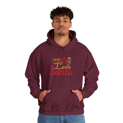 Christmas Unisex Hooded Sweatshirt - Love Santa Design