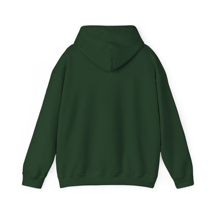 Motivational Unisex Hooded Sweatshirt - Think Big Think Positive Think Different Design