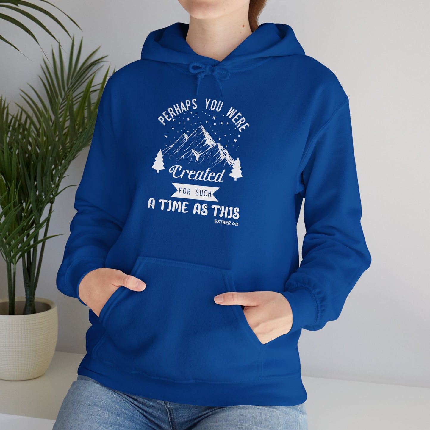 Christian Unisex Hooded Sweatshirt - Perhaps You Were Created Design