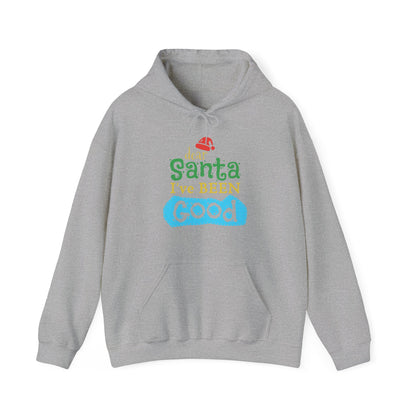 Christmas Unisex Hooded Sweatshirt - Dear Santa I've Been Good Design