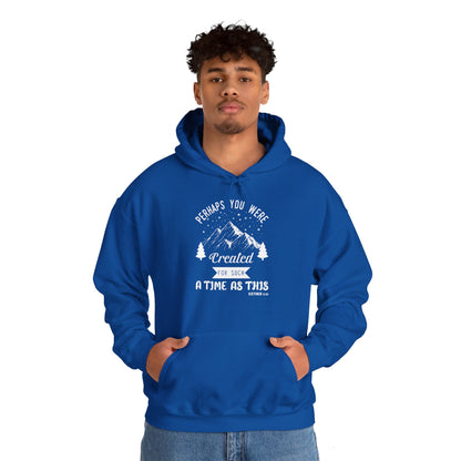 Christian Unisex Hooded Sweatshirt - Perhaps You Were Created Design