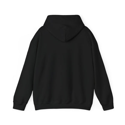 Motivational Unisex Hooded Sweatshirt - Think Big Think Positive Think Different Design