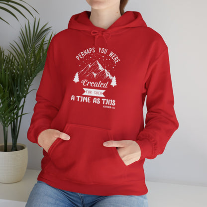 Christian Unisex Hooded Sweatshirt - Perhaps You Were Created Design