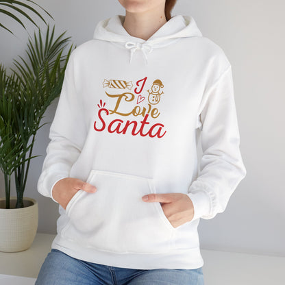 Christmas Unisex Hooded Sweatshirt - Love Santa Design