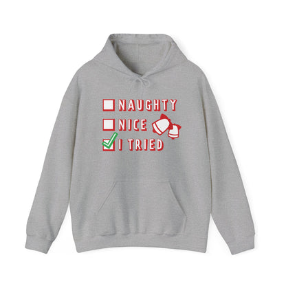 Christmas Unisex Hooded Sweatshirt - Naughty Nice I Tried Design