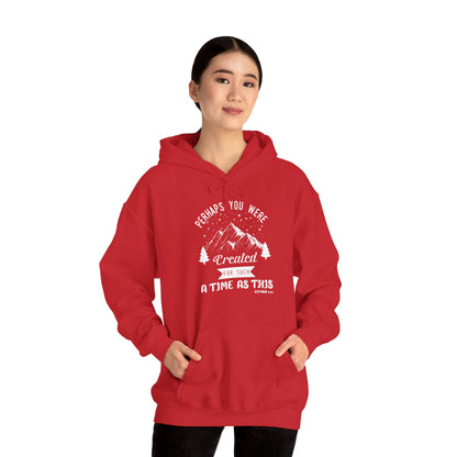 Christian Unisex Hooded Sweatshirt - Perhaps You Were Created Design