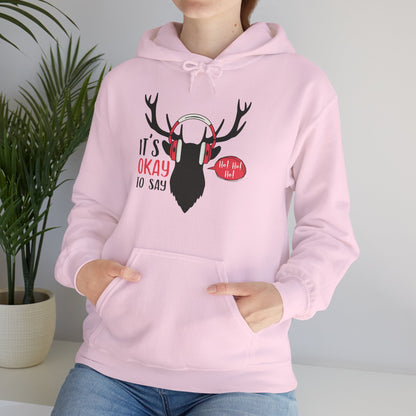 Christmas Unisex Hooded Sweatshirt - It's Okay To Say Ho Ho Ho Design