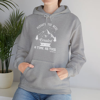 Christian Unisex Hooded Sweatshirt - Perhaps You Were Created Design