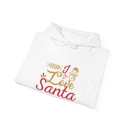 Christmas Unisex Hooded Sweatshirt - Love Santa Design