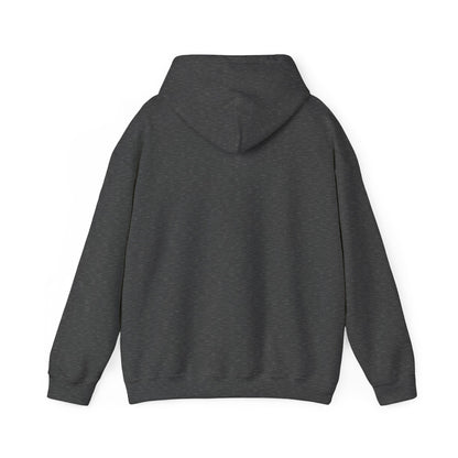 Motivational Unisex Hooded Sweatshirt - Think Big Think Positive Think Different Design