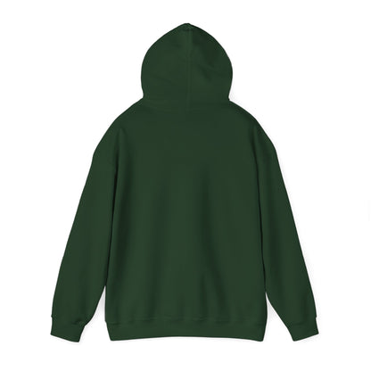 Motivational Unisex Hooded Sweatshirt - Think Big Think Positive Think Different Design